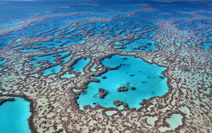 Read more about the article Great Barrier Reef