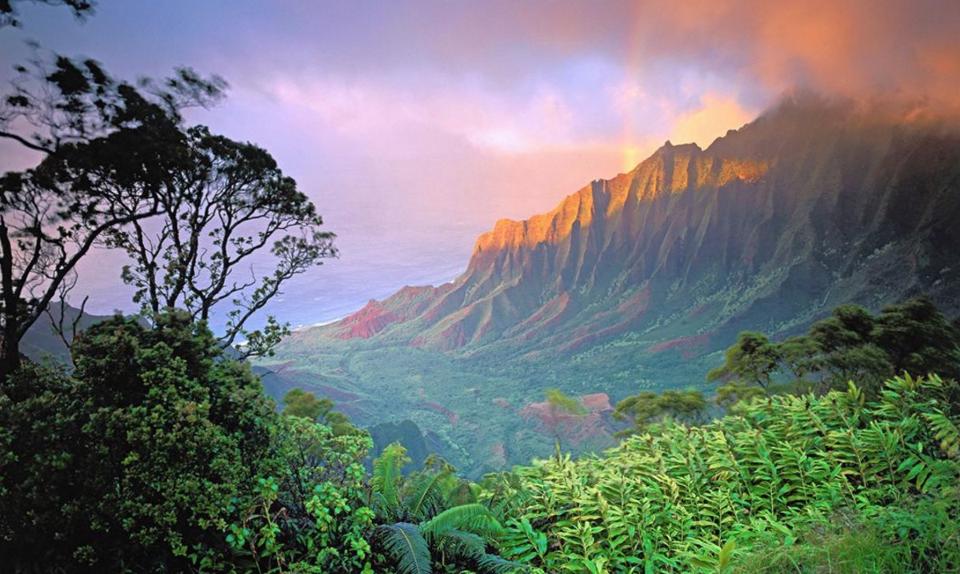 Read more about the article Kauai, Hawaii